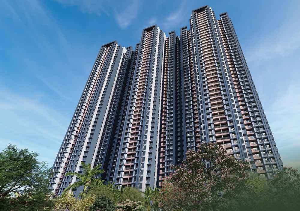 Ace The Forest Kingdom